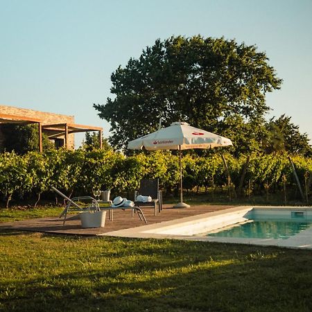 Pizzorno Lodge & Wine Progreso Extérieur photo