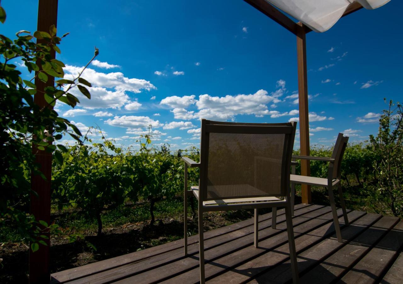Pizzorno Lodge & Wine Progreso Extérieur photo