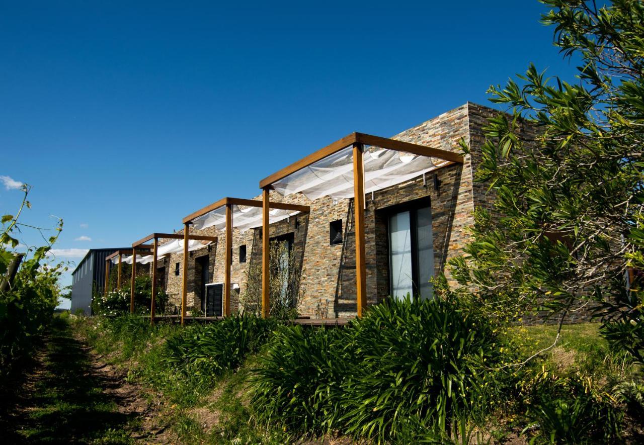 Pizzorno Lodge & Wine Progreso Extérieur photo