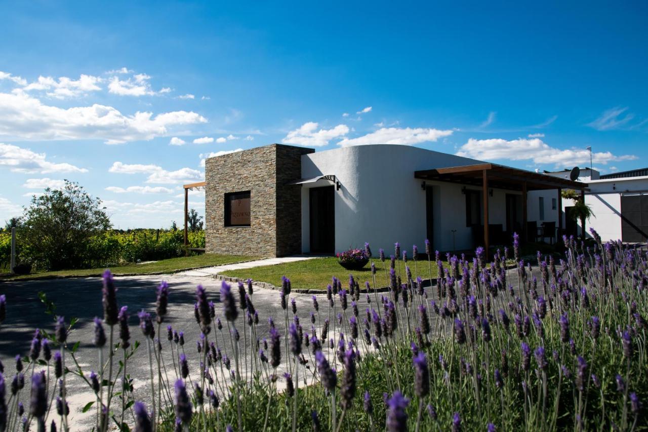 Pizzorno Lodge & Wine Progreso Extérieur photo